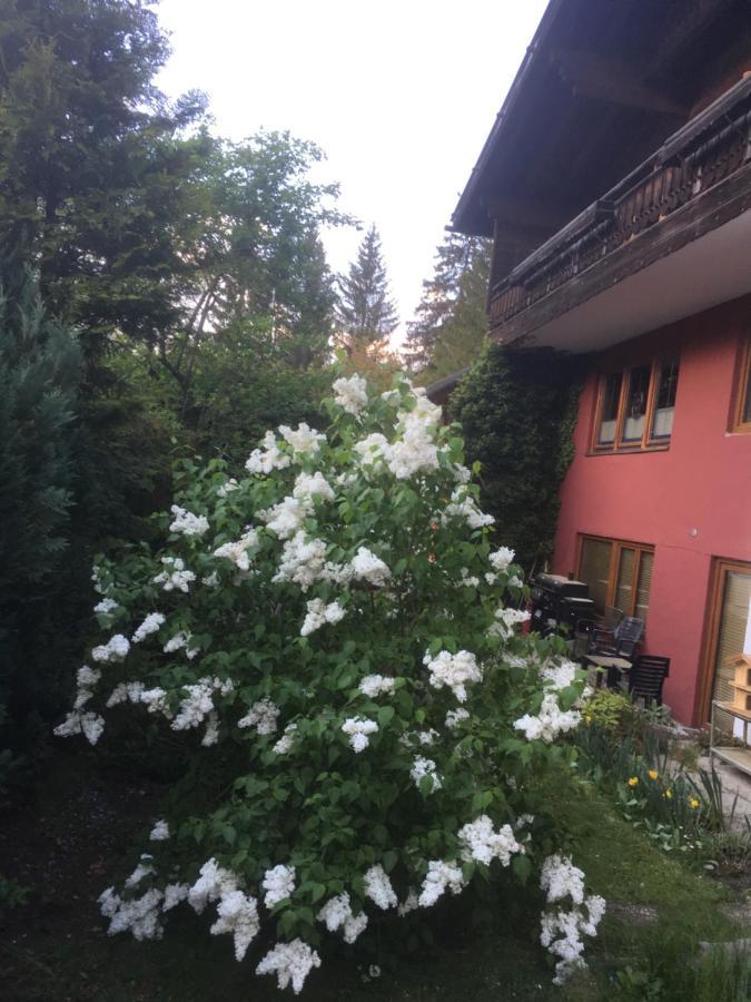 Ferienhaus Wieswald Ервалд Екстериор снимка